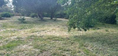 Terrain seul à Montaigut-sur-Save en Haute-Garonne (31) de 806 m² à vendre au prix de 130000€ - 4