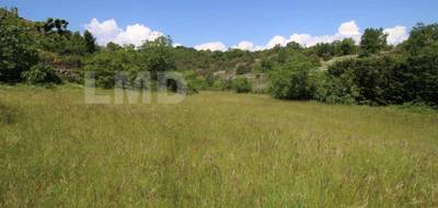 Terrain seul à Banne en Ardèche (07) de 10678 m² à vendre au prix de 125000€ - 3