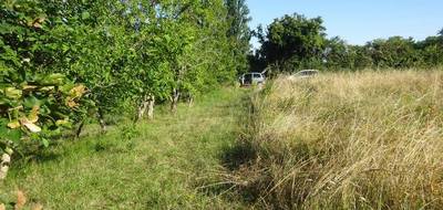 Terrain seul à Chenevelles en Vienne (86) de 1197 m² à vendre au prix de 15000€ - 4
