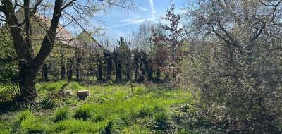 Terrain seul à Warluis en Oise (60) de 660 m² à vendre au prix de 75000€ - 2