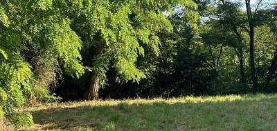 Terrain seul à Belpech en Aude (11) de 934 m² à vendre au prix de 48000€ - 3