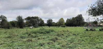 Terrain seul à Beuzeville en Eure (27) de 605 m² à vendre au prix de 62000€ - 2