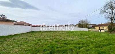 Terrain seul à Pizay en Ain (01) de 425 m² à vendre au prix de 129000€ - 3