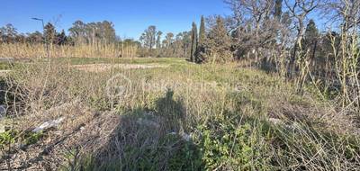 Terrain seul à Pézilla-la-Rivière en Pyrénées-Orientales (66) de 349 m² à vendre au prix de 98000€ - 4