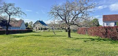 Terrain seul à Le Poinçonnet en Indre (36) de 1064 m² à vendre au prix de 84000€ - 4