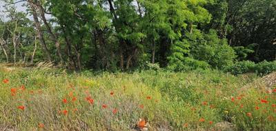 Terrain seul à Les Tourrettes en Drôme (26) de 857 m² à vendre au prix de 75000€ - 3