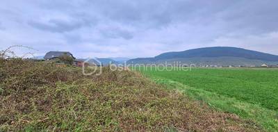 Terrain seul à Issenheim en Haut-Rhin (68) de 610 m² à vendre au prix de 110000€ - 3