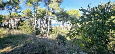 Terrain seul à Sète en Hérault (34) de 2887 m² à vendre au prix de 790000€ - 2