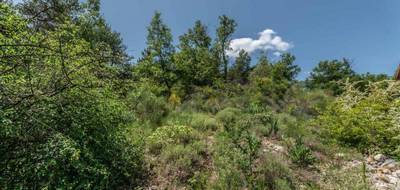 Terrain seul à Estoublon en Alpes-de-Haute-Provence (04) de 1910 m² à vendre au prix de 104000€ - 3