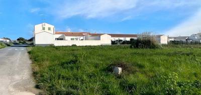 Terrain seul à Saint-Denis-d'Oléron en Charente-Maritime (17) de 4280 m² à vendre au prix de 828800€ - 3