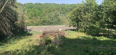 Terrain seul à Gy-l'Évêque en Yonne (89) de 3310 m² à vendre au prix de 19000€ - 2