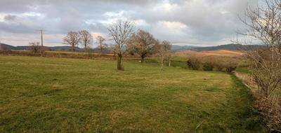 Terrain seul à Nizerolles en Allier (03) de 3129 m² à vendre au prix de 23000€ - 3