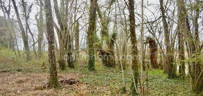 Terrain seul à Sanilhac en Dordogne (24) de 1022 m² à vendre au prix de 34000€ - 1