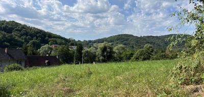 Terrain seul à Saint-Sernin-du-Bois en Saône-et-Loire (71) de 1636 m² à vendre au prix de 34168€ - 4