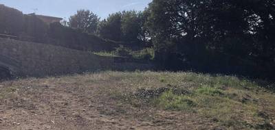 Terrain seul à Opio en Alpes-Maritimes (06) de 5450 m² à vendre au prix de 419000€ - 1