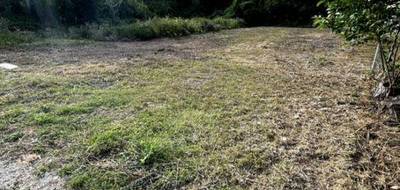 Terrain seul à Massay en Cher (18) de 1013 m² à vendre au prix de 22500€ - 2