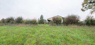 Terrain seul à Montigny-aux-Amognes en Nièvre (58) de 2114 m² à vendre au prix de 39940€ - 4
