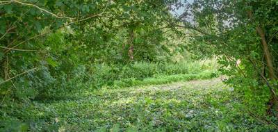 Terrain seul à Buire-Courcelles en Somme (80) de 7000 m² à vendre au prix de 75000€ - 4