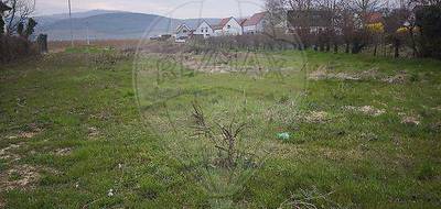 Terrain seul à Gundolsheim en Haut-Rhin (68) de 1867 m² à vendre au prix de 605000€ - 2