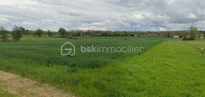 Terrain seul à Appoigny en Yonne (89) de 878 m² à vendre au prix de 53800€ - 1