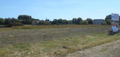Terrain seul à Marcilly-sur-Vienne en Indre-et-Loire (37) de 1887 m² à vendre au prix de 15000€ - 3
