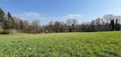 Terrain seul à Royères en Haute-Vienne (87) de 1535 m² à vendre au prix de 39000€ - 1