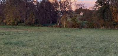 Terrain seul à Courtemaux en Loiret (45) de 14150 m² à vendre au prix de 47450€ - 1