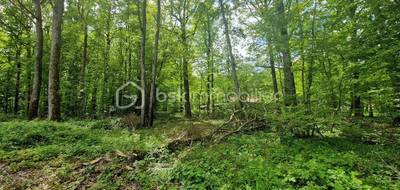 Terrain seul à Saint-Hilaire-les-Andrésis en Loiret (45) de 2363 m² à vendre au prix de 36000€ - 2