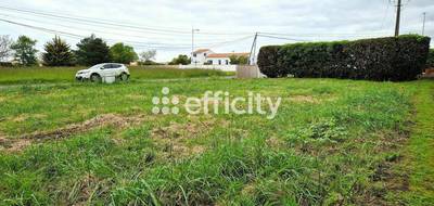 Terrain seul à Saint-Pierre-d'Oléron en Charente-Maritime (17) de 400 m² à vendre au prix de 159000€ - 1