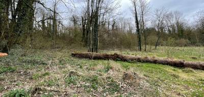 Terrain seul à Jussey en Haute-Saône (70) de 0 m² à vendre au prix de 22000€ - 1
