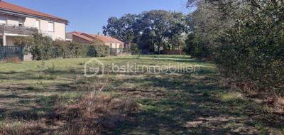 Terrain seul à Plaisance-du-Touch en Haute-Garonne (31) de 1059 m² à vendre au prix de 230000€ - 3