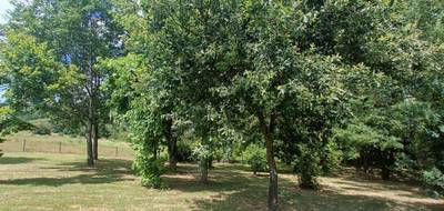 Terrain seul à Auvillar en Tarn-et-Garonne (82) de 2528 m² à vendre au prix de 53000€ - 3