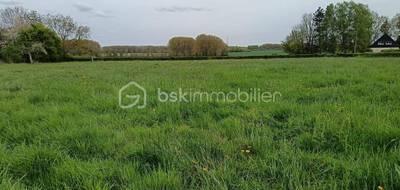 Terrain seul à Lillers en Pas-de-Calais (62) de 686 m² à vendre au prix de 50000€ - 1