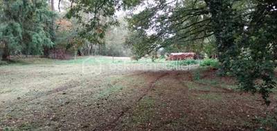 Terrain seul à Bray-Saint-Aignan en Loiret (45) de 1100 m² à vendre au prix de 53000€ - 1