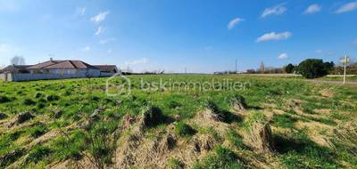 Terrain seul à Seurre en Côte-d'Or (21) de 6639 m² à vendre au prix de 92000€ - 1
