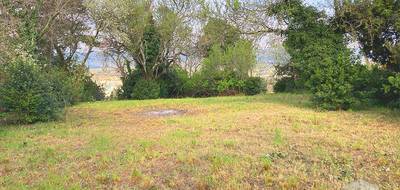Terrain seul à Montélimar en Drôme (26) de 2000 m² à vendre au prix de 300000€ - 3