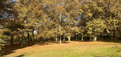 Terrain seul à Bazas en Gironde (33) de 3600 m² à vendre au prix de 90000€ - 1