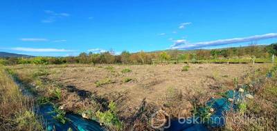 Terrain seul à Estagel en Pyrénées-Orientales (66) de 2603 m² à vendre au prix de 9900€ - 4