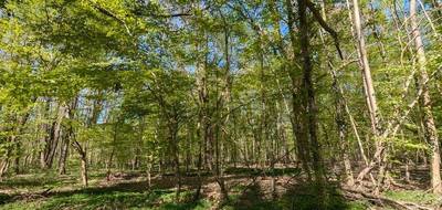 Terrain seul à Guignes en Seine-et-Marne (77) de 7253 m² à vendre au prix de 23500€ - 2