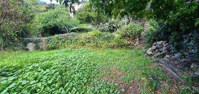 Terrain seul à Occhiatana en Haute-Corse (2B) de 585 m² à vendre au prix de 108000€ - 4