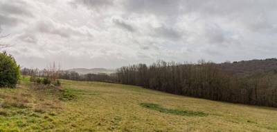 Terrain seul à Peyzac-le-Moustier en Dordogne (24) de 3000 m² à vendre au prix de 63000€ - 3