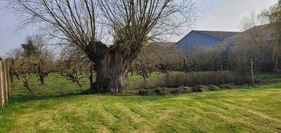 Terrain seul à Auchy-lez-Orchies en Nord (59) de 0 m² à vendre au prix de 140000€ - 1