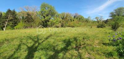 Terrain seul à Estagel en Pyrénées-Orientales (66) de 1467 m² à vendre au prix de 3500€ - 1