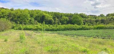 Terrain seul à Larnas en Ardèche (07) de 1900 m² à vendre au prix de 74500€ - 4