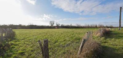 Terrain seul à Chemilly-sur-Yonne en Yonne (89) de 1715 m² à vendre au prix de 42990€ - 3