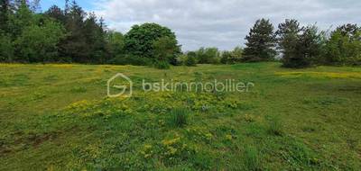 Terrain seul à Migné-Auxances en Vienne (86) de 8709 m² à vendre au prix de 88500€ - 1