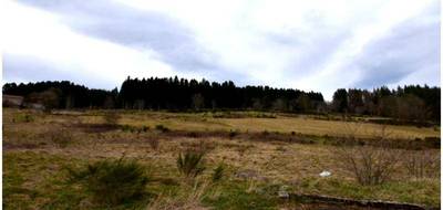 Terrain seul à Dunières en Haute-Loire (43) de 1018 m² à vendre au prix de 59000€ - 1
