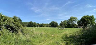Terrain seul à Le Breuil-en-Auge en Calvados (14) de 517 m² à vendre au prix de 74600€ - 2