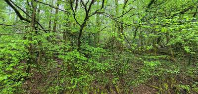 Terrain seul à Tulle en Corrèze (19) de 12706 m² à vendre au prix de 35590€ - 1