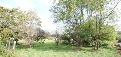 Terrain seul à Calmont en Haute-Garonne (31) de 1600 m² à vendre au prix de 66000€ - 2